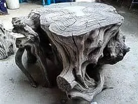 Artificial rock old tree stump prepared by brand cement